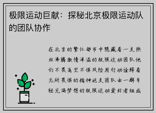 极限运动巨献：探秘北京极限运动队的团队协作