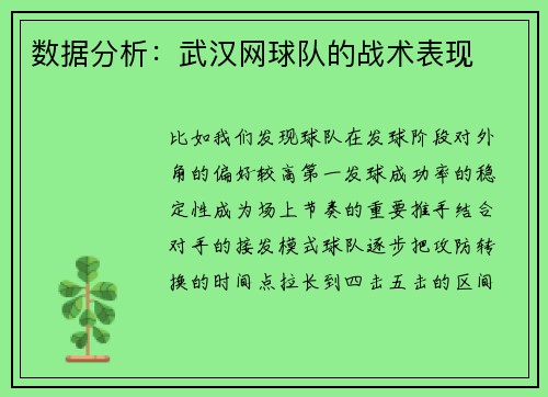 数据分析：武汉网球队的战术表现